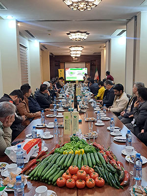 گزارش خبری | گردهمایی کارشناسان و فعالان کشاورزی در یزد برای معرفی رقم خیار گلخانه‌ای گرینویچ