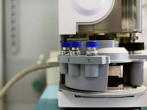 گستره فعالیت