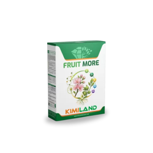 fruit_more_small